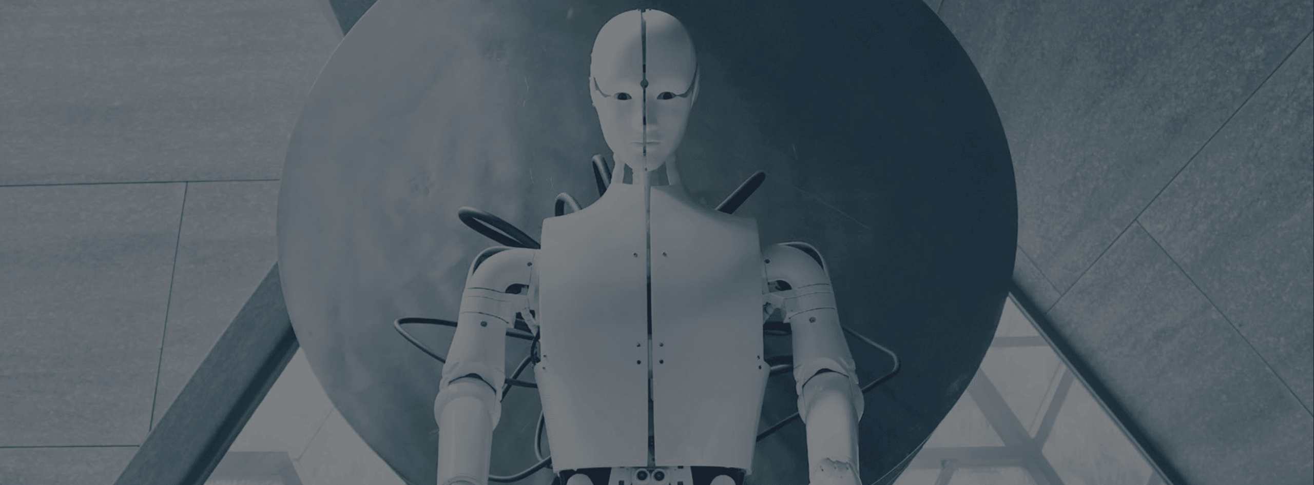 Introducing the Prosumer Gen AI Report 2024: Vietnam’s Distinctive Perspective