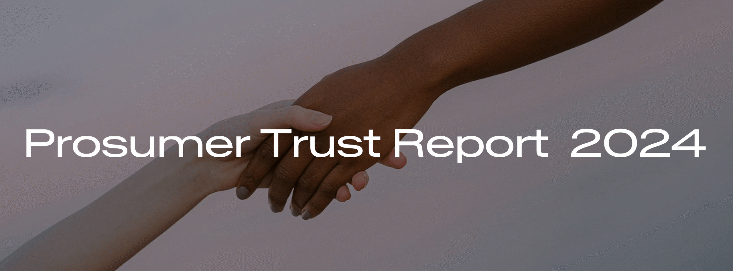 The New Paths of Trust: How Vietnamese Consumers Compare Globally